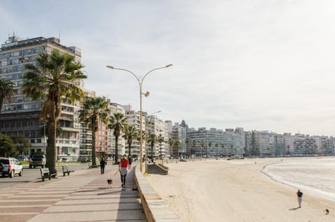 Nearby landmark, Neighbourhood, Beach