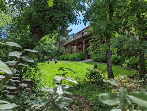 Property building, Spring, Day, Natural landscape, Garden, Garden view