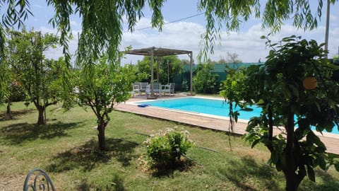 Garden, Pool view, Swimming pool