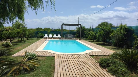 Garden, Swimming pool, sunbed