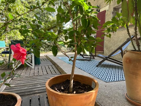 Patio, Garden view