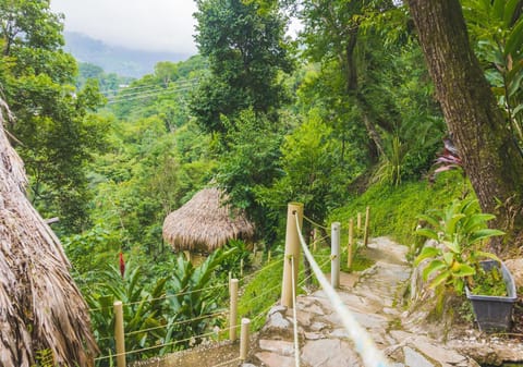 Natural landscape, Hiking