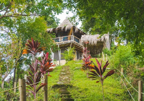 Property building, Natural landscape, Garden view