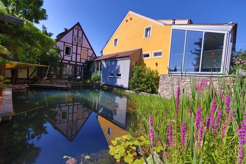 Natural landscape, Garden, Garden view, Pool view