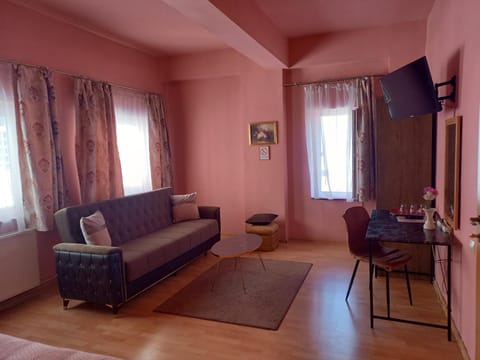Pensiunea Vila Dana Chambre d’hôte in Cluj-Napoca