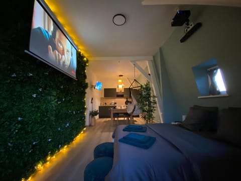 Bed, TV and multimedia