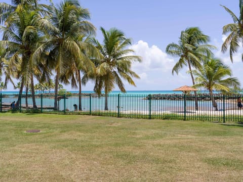 Garden, Beach, Sea view