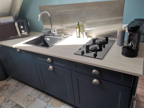 Coffee/tea facilities, Kitchen or kitchenette, minibar, pet friendly, stove