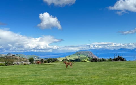 Hilltop Whakaipo Estate Bed and Breakfast in Taupo