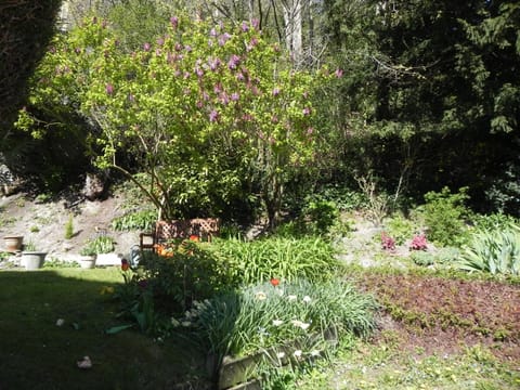 Villa MONIKA Apartment in Dieppe