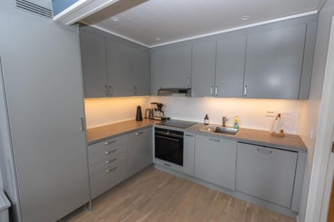 Kitchen or kitchenette, dishwasher, oven