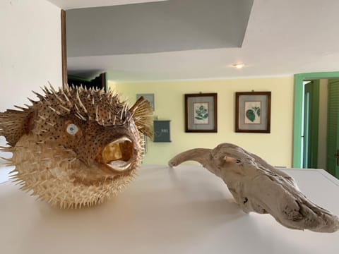 Seaside Apartment in Bordighera