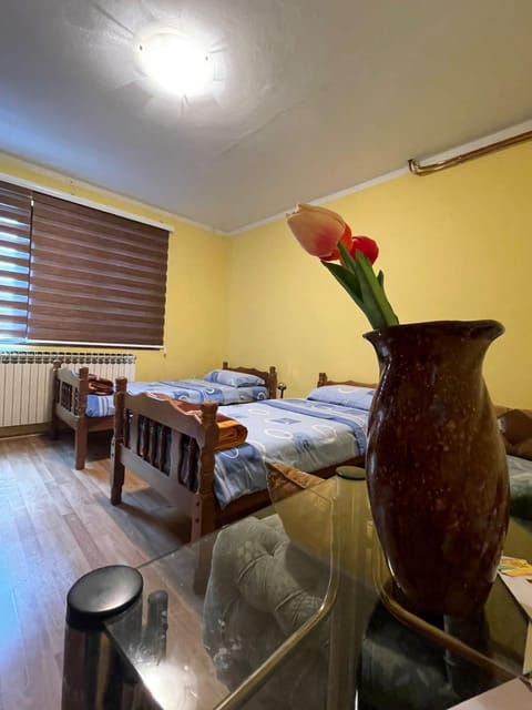 Apartman Sara Apartment in Zlatibor District, Serbia