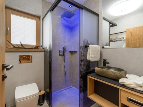 Dorfkaiser Appartements Apartment in Salzburgerland