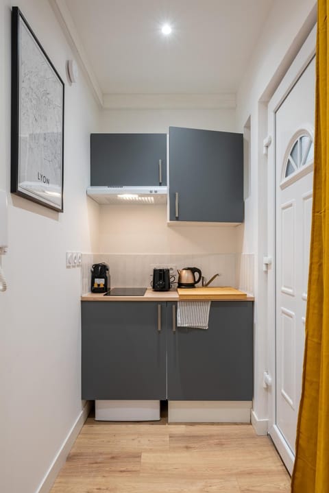 Le Cocon De Paris Apartment in Lyon