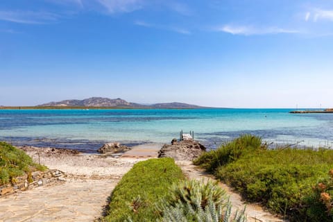 Natural landscape, Beach