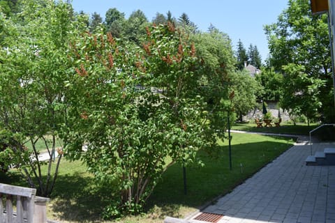 Inner courtyard view