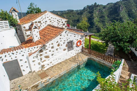 Day, Garden, Garden view, Pool view, Swimming pool