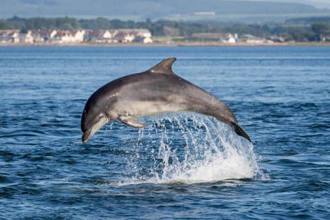 Jomarnic B&B Pousada com café da manhã (B&B) in Lossiemouth