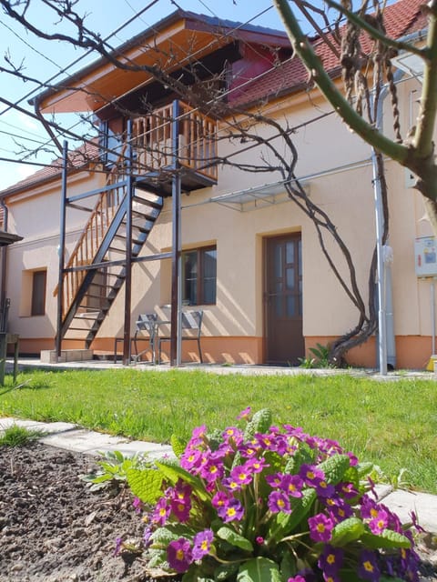 Lavender Apartments Apartment in Brasov