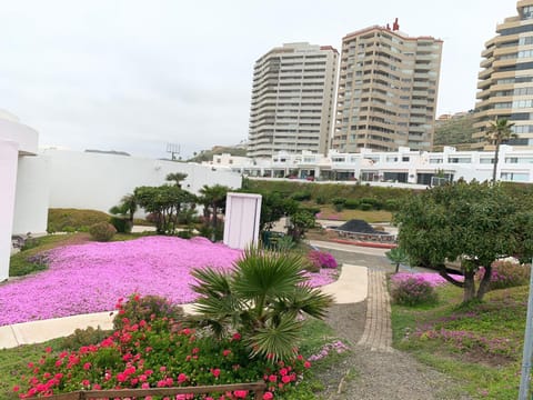 Beachfront Condo close Puerto Nuevo, Papas, and Valle de Guadalupe Apartment in State of Baja California