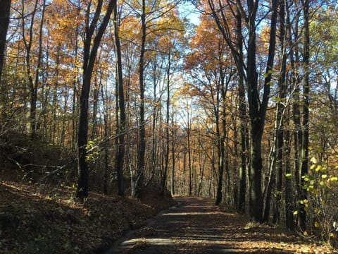 Hiking