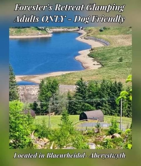 View (from property/room), pet friendly