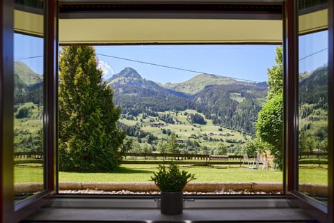 View (from property/room), Garden view