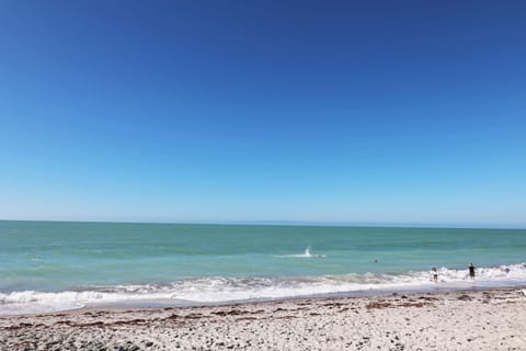 Beach, Sea view