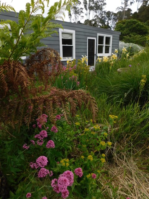 The Gardener's Cottage on Warrentinna Condo in Branxholm