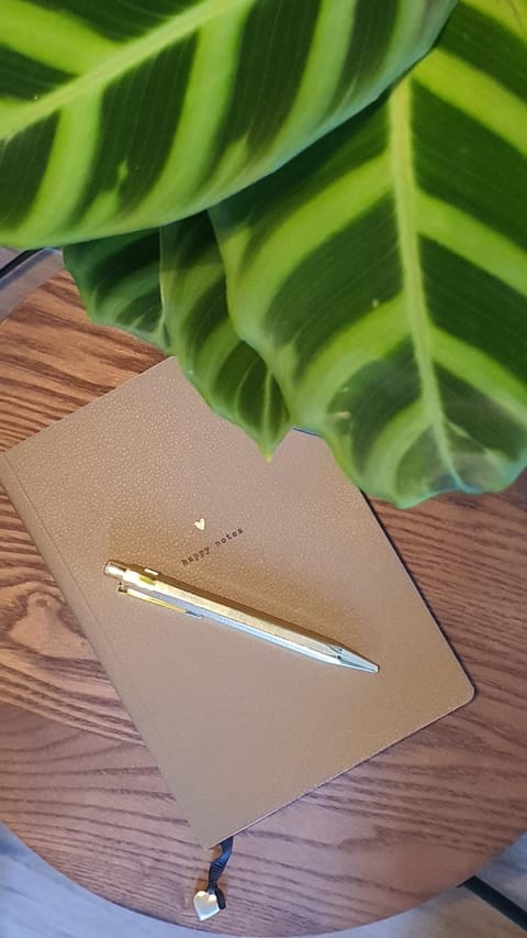 B&Be Happy Bed and Breakfast in Limburg (province)