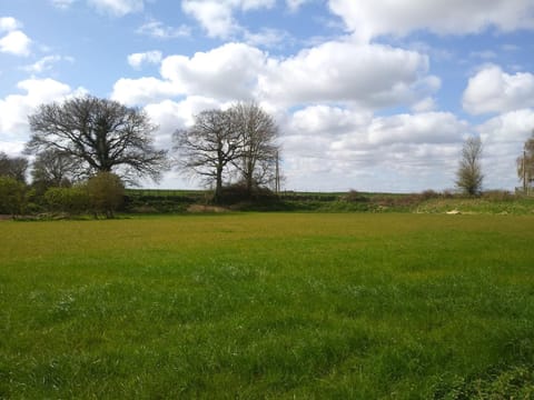 Brick Kiln Farm Apartment in Broadland District