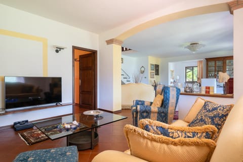 TV and multimedia, Living room