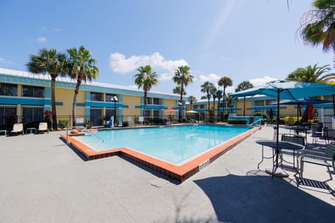 Pool view, Swimming pool