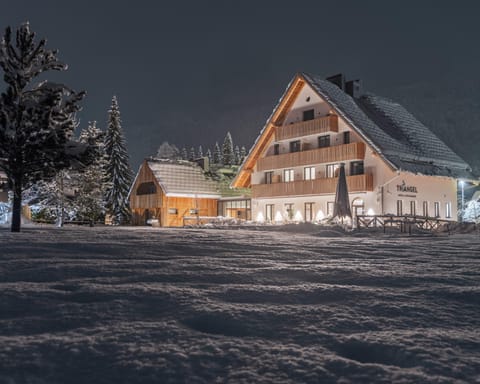 Property building, Natural landscape, Winter