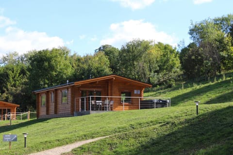 Viaduct Fishery Lodges Chalet in Sedgemoor