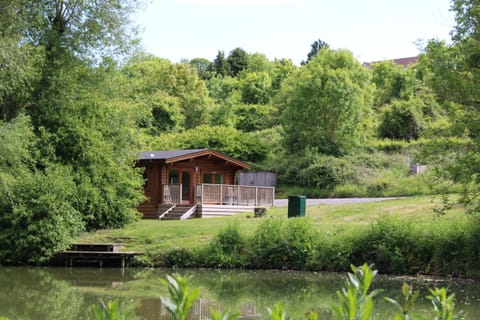 Natural landscape, Lake view