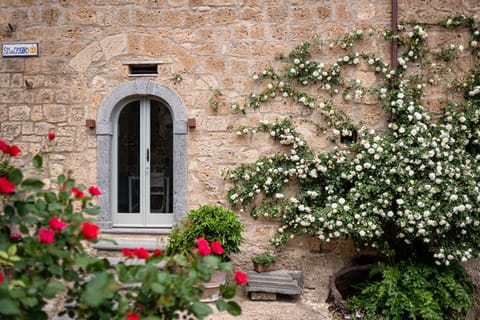 Acqua di Civita Beauty & Rooms Bed and Breakfast in Civita di Bagnoregio