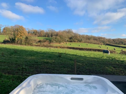 Ideally located Luxury Country Escape-The Lookout-with private garden dog friendly and private hot tub House in East Devon District