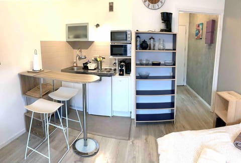 Studio LEON Apartment in Chambery