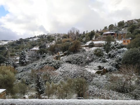 Iris' Traditional Stone House Apartment in Euboea