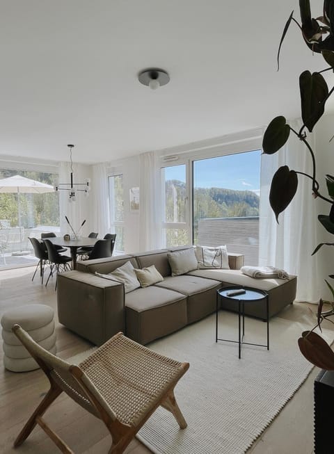 Living room, Seating area, Mountain view