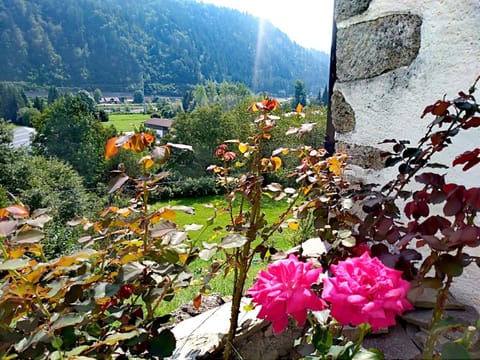 Photo of the whole room, Garden view