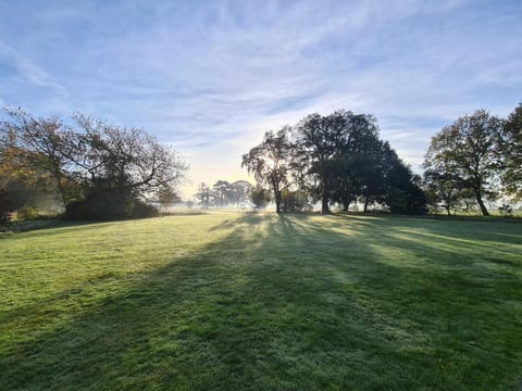 Garden, Garden view