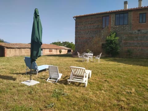 Garden, Garden view, sunbed