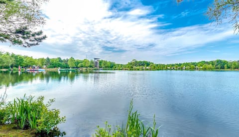 Natural landscape, View (from property/room), Beach, Lake view