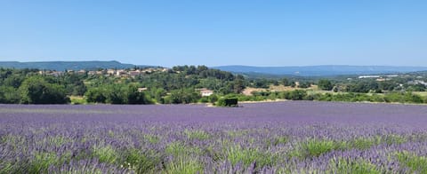 L’Abrico’thym Bed and Breakfast in Apt