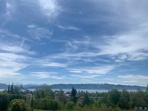 Panorama Waldblick Apartment in Lindau