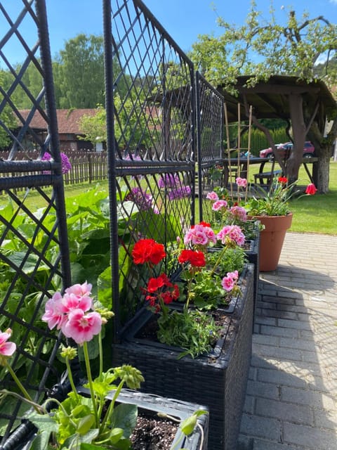 Patio, Garden, Balcony/Terrace