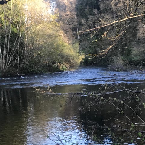 Tom’s retreat Chalet in Wales